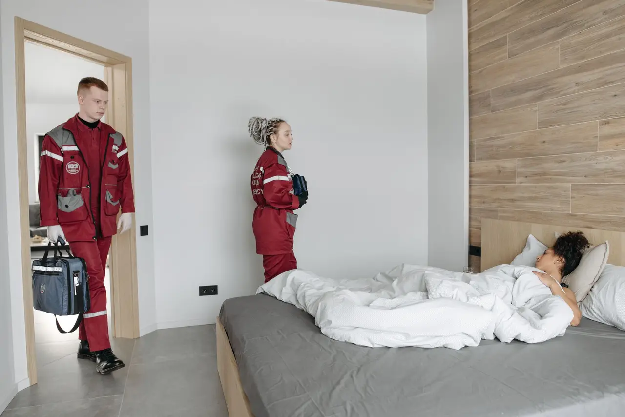 Emergency Bed Bug Treatment in Hamilton