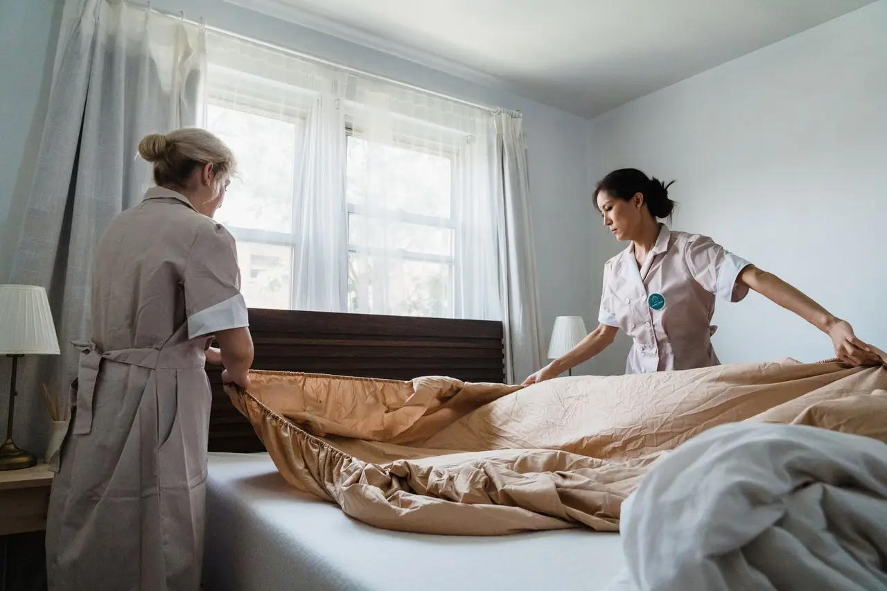 Residential Bed Bug Treatment in Hamilton